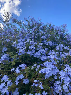 神戸どうぶつ王国に投稿された画像（2022/10/24）