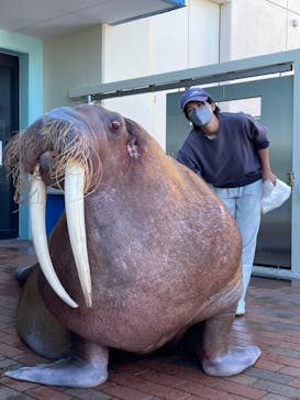 南知多ビーチランド＆南知多おもちゃ王国に投稿された画像（2022/10/24）