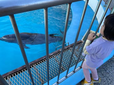 南知多ビーチランド＆南知多おもちゃ王国に投稿された画像（2022/10/24）