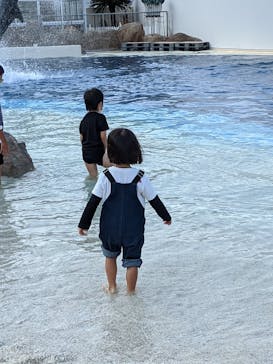 大分マリーンパレス水族館 「うみたまご」に投稿された画像（2022/10/24）