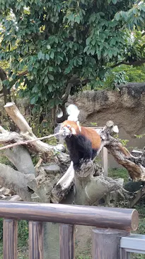 ひらかたパークに投稿された画像（2022/10/24）