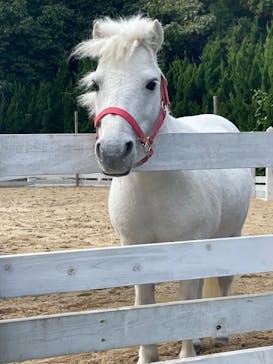 NESTA RESORT KOBE（ネスタリゾート神戸）に投稿された画像（2022/10/24）