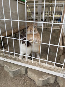 NESTA RESORT KOBE（ネスタリゾート神戸）に投稿された画像（2022/10/24）