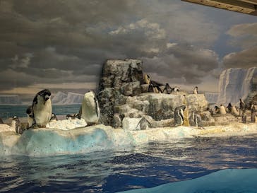 名古屋港水族館に投稿された画像（2022/10/24）