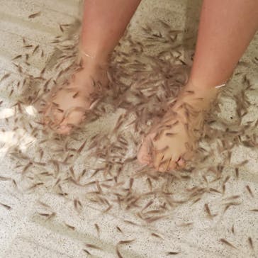 有馬温泉 太閤の湯に投稿された画像（2022/10/24）