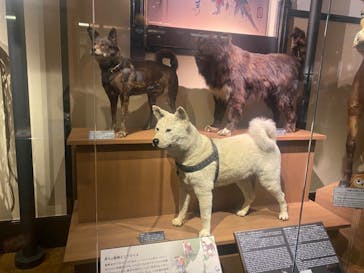 国立科学博物館に投稿された画像（2022/10/24）