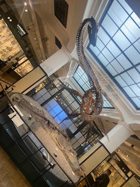 国立科学博物館に投稿された画像（2022/10/24）