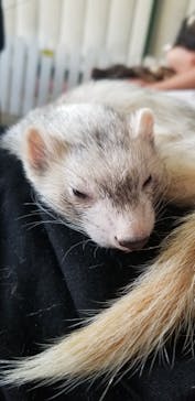 ワールド牧場に投稿された画像（2022/10/24）