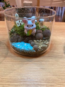 伊勢夫婦岩めおと横丁　めおと岩アクティビティに投稿された画像（2022/10/22）