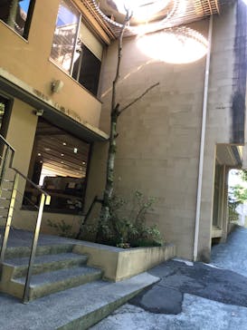 成田の命泉　大和の湯に投稿された画像（2022/10/24）