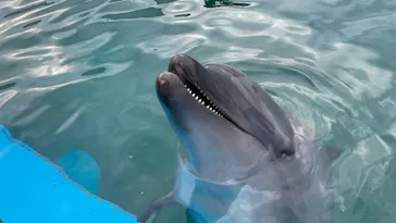 横浜・八景島シーパラダイスに投稿された画像（2022/10/24）