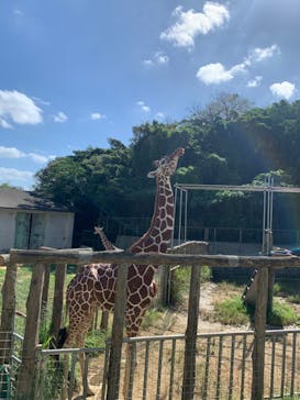 沖縄こどもの国に投稿された画像（2022/10/24）