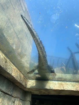 沖縄こどもの国に投稿された画像（2022/10/24）