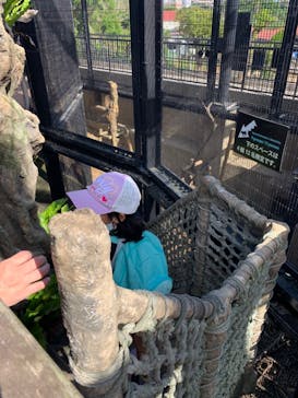 沖縄こどもの国に投稿された画像（2022/10/24）