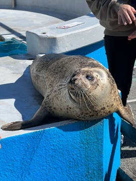 南知多ビーチランド＆南知多おもちゃ王国に投稿された画像（2022/10/25）