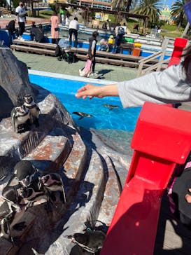 南知多ビーチランド＆南知多おもちゃ王国に投稿された画像（2022/10/25）