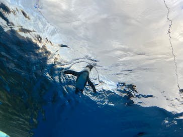 サンシャイン水族館に投稿された画像（2022/10/25）