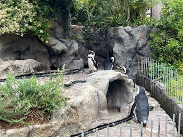 サンシャイン水族館に投稿された画像（2022/10/25）