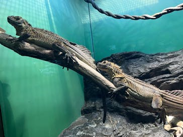 サンシャイン水族館に投稿された画像（2022/10/25）