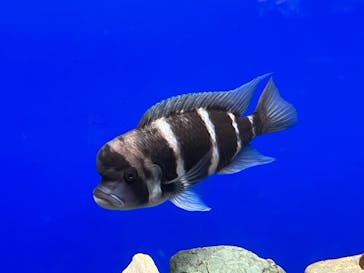 サンシャイン水族館に投稿された画像（2022/10/25）