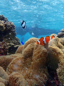 宮古島 ADVENTURE PiPi（ミヤコジマ アドベンチャー ピピ）に投稿された画像（2022/10/25）