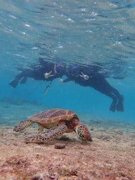 宮古島 ADVENTURE PiPi（ミヤコジマ アドベンチャー ピピ）に投稿された画像（2022/10/25）