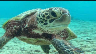 宮古島 ADVENTURE PiPi（ミヤコジマ アドベンチャー ピピ）に投稿された画像（2022/10/25）