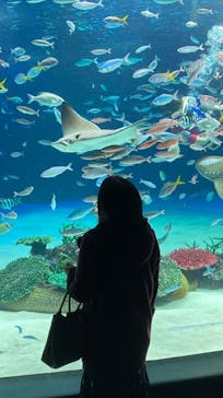 サンシャイン水族館に投稿された画像（2022/10/25）