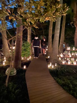 江の島シーキャンドルに投稿された画像（2022/10/25）