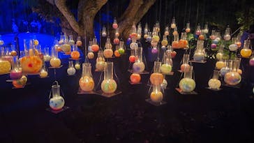 江の島シーキャンドルに投稿された画像（2022/10/25）