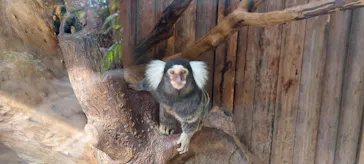 神戸どうぶつ王国に投稿された画像（2022/10/25）