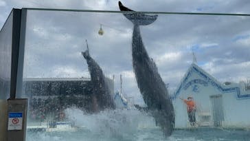 しながわ水族館に投稿された画像（2022/10/25）