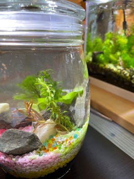 しながわ水族館に投稿された画像（2022/10/25）