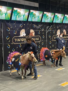 東京メガイルミに投稿された画像（2022/10/25）