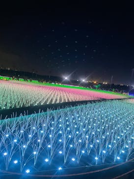 東京メガイルミに投稿された画像（2022/10/25）