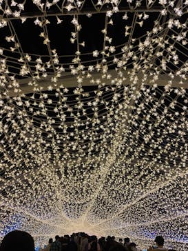 東京メガイルミに投稿された画像（2022/10/25）