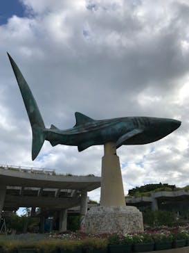 沖縄美ら海水族館に投稿された画像（2022/10/25）