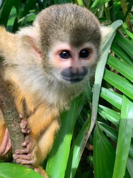 石垣やいま村に投稿された画像（2022/10/25）