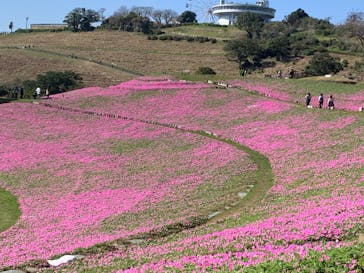 マザー牧場に投稿された画像（2022/10/25）