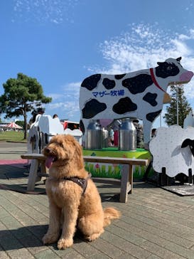 マザー牧場に投稿された画像（2022/10/25）