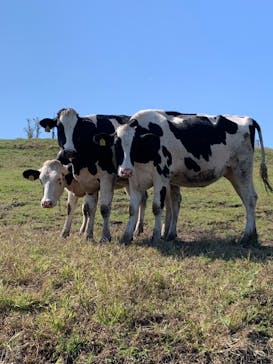 マザー牧場に投稿された画像（2022/10/25）