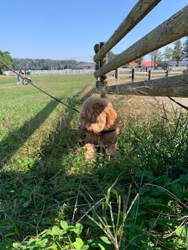 マザー牧場に投稿された画像（2022/10/25）