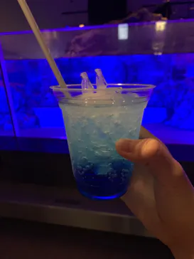 すみだ水族館に投稿された画像（2022/10/25）