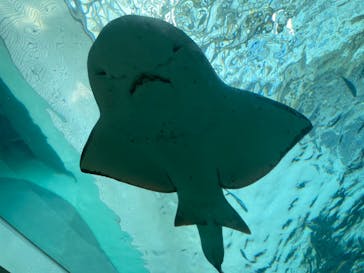 名古屋港水族館に投稿された画像（2022/10/25）