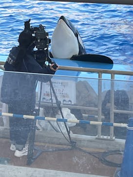 名古屋港水族館に投稿された画像（2022/10/25）