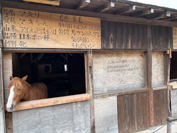 伊勢忍者キングダムに投稿された画像（2022/10/25）