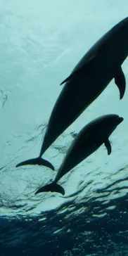 横浜・八景島シーパラダイスに投稿された画像（2022/10/25）