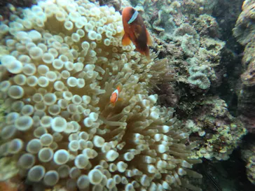 武藤潜水に投稿された画像（2022/10/26）