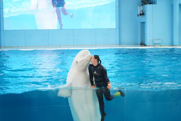 横浜・八景島シーパラダイスに投稿された画像（2022/10/26）