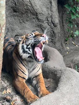 神戸どうぶつ王国に投稿された画像（2022/10/26）